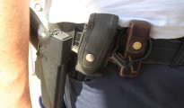 Laakirchen: Hund verbellt Einbrecher - Dienstwaffe Polizei