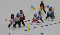 Aktiver und erfolgreicher Winter der Sektion Schi im Sportverein Weyregg Aktiver und erfolgreicher Winter der Sektion Schi im Sportverein Weyregg