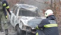 Firmenautos gestohlen und angezündet - Kopfgeld ausgehängt Firmenautos gestohlen und angezündet - Kopfgeld ausgehängt