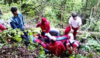 Schwerer Forstunfall in Obertraun - 12-Jähriger wurde zum Lebensretter Schwerer Forstunfall in Obertraun - 12-Jähriger wurde zum Lebensretter