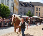 109. Pferdemarkt in Vöcklabruck