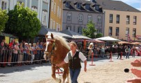 109. Pferdemarkt in Vöcklabruck