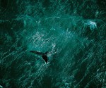 Planet Ocean - faszinierend und bedroht - eine IEZ-Veranstaltung in Gmunden