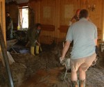 Arbeitslose als AMS Helfer im Einsatz | Foto: Sepp Reinprecht