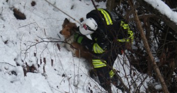 Tierrettung am Traunfall