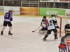 1. Play off – Sharks gegen Wels