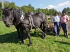 25 Jahre Bauernmarkt in Mondsee und Herbstfest im Freilichtmuseum