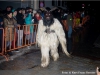 Großperchtenlauf Altmünster