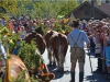 Almabtrieb in St. Wolfgang