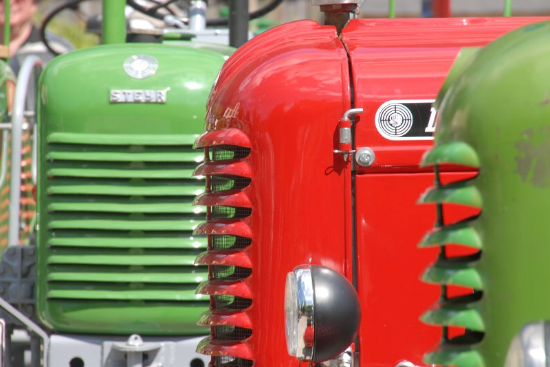 Arbeitstiere in Festtagstracht