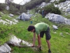 Aufforstungen am Dachstein-Massiv