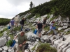 Aufforstungen am Dachstein-Massiv