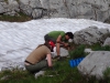 Aufforstungen am Dachstein-Massiv