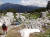 Aufforstungen am Dachstein-Massiv