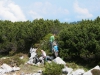 Aufforstungen am Dachstein-Massiv