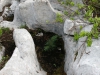 Aufforstungen am Dachstein-Massiv