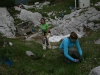 Aufforstungen am Dachstein-Massiv