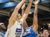 Basketball: Swans siegen im Heimspiel