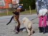 kinderfasching-bad-ischl-19