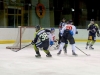 sharks-1-vs-wels-3