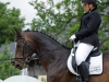 Reiten: top Erfolge bei Dressur-Landesmeisterschaften in Aurachkirchen