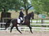 Reiten: top Erfolge bei Dressur-Landesmeisterschaften in Aurachkirchen