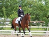 Reiten: top Erfolge bei Dressur-Landesmeisterschaften in Aurachkirchen