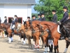 Reiten: top Erfolge bei Dressur-Landesmeisterschaften in Aurachkirchen