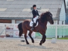 Reitsaison mit Dressurturnier eröffnet