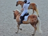Reitsaison mit Dressurturnier eröffnet