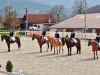 Reitsaison mit Dressurturnier eröffnet