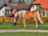 Reitsaison mit Dressurturnier eröffnet