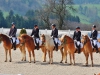 Reitsaison mit Dressurturnier eröffnet