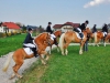Reitsaison mit Dressurturnier eröffnet