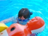 schwimmen-16Ebensee: Wasserrettungs-Jugend bei Landesmeisterschaft in Steyr top