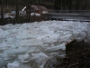 Hochwasser durch Eisstau in Ohlsdorf