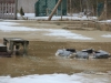 Hochwasser durch Eisstau in Ohlsdorf