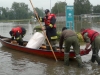 FF Ohlsdorf im Hochwassereinsatz