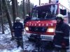 FF Steining