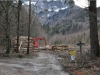 Forstarbeiten am Langbathsee