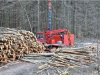 Forstarbeiten am Langbathsee