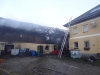 55 Tiere bei Großbrand in Frankenburg aus Vierkanter gerettet