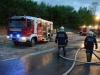 grossbrand-lenzing-spitzbart-29