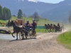 Größtes nationales Fahrturnier in Viechtwang