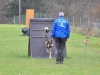 Ortsgruppenprüfung in der Hundeschule Gmunden/Regau