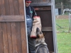 Ortsgruppenprüfung in der Hundeschule Gmunden/Regau