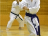 Karatetraining bei der Sportunion Gmunden
