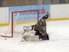 sharks-vs-tigers-finale-5