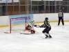 sharks-vs-tigers-finale-7