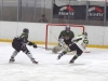 sharks-vs-tigers-finale-9